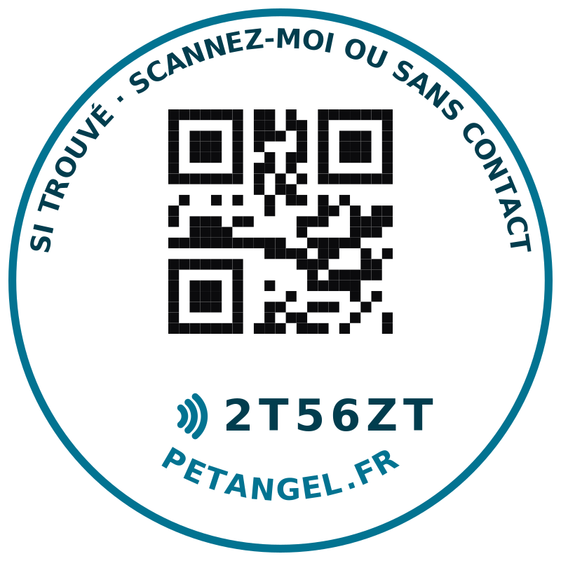 Verso de la médaille Pet Angel : QR code et code d'activation