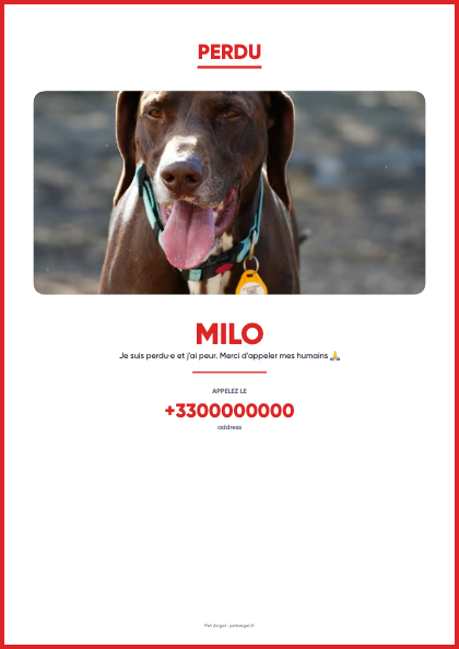 Une affiche d’animal perdu générée par Pet Angel